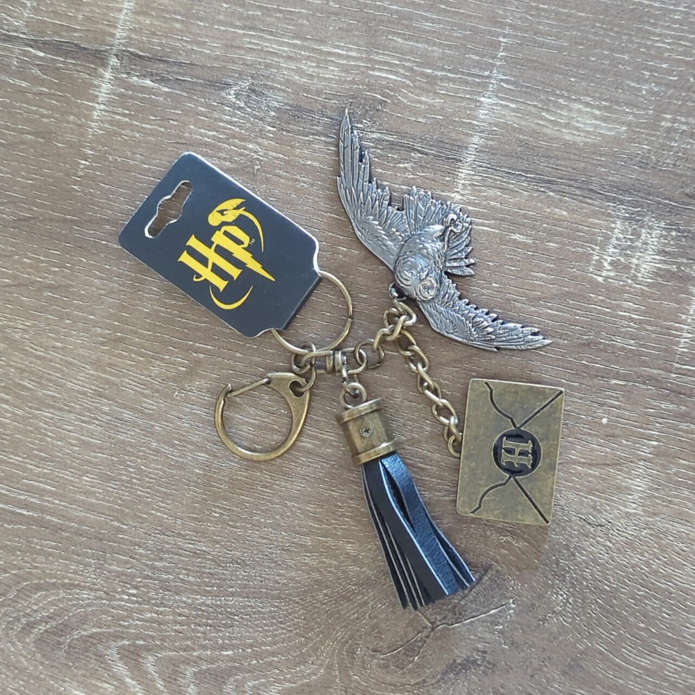 Harry Potter Hedwig Hogwarts Letter Keychain